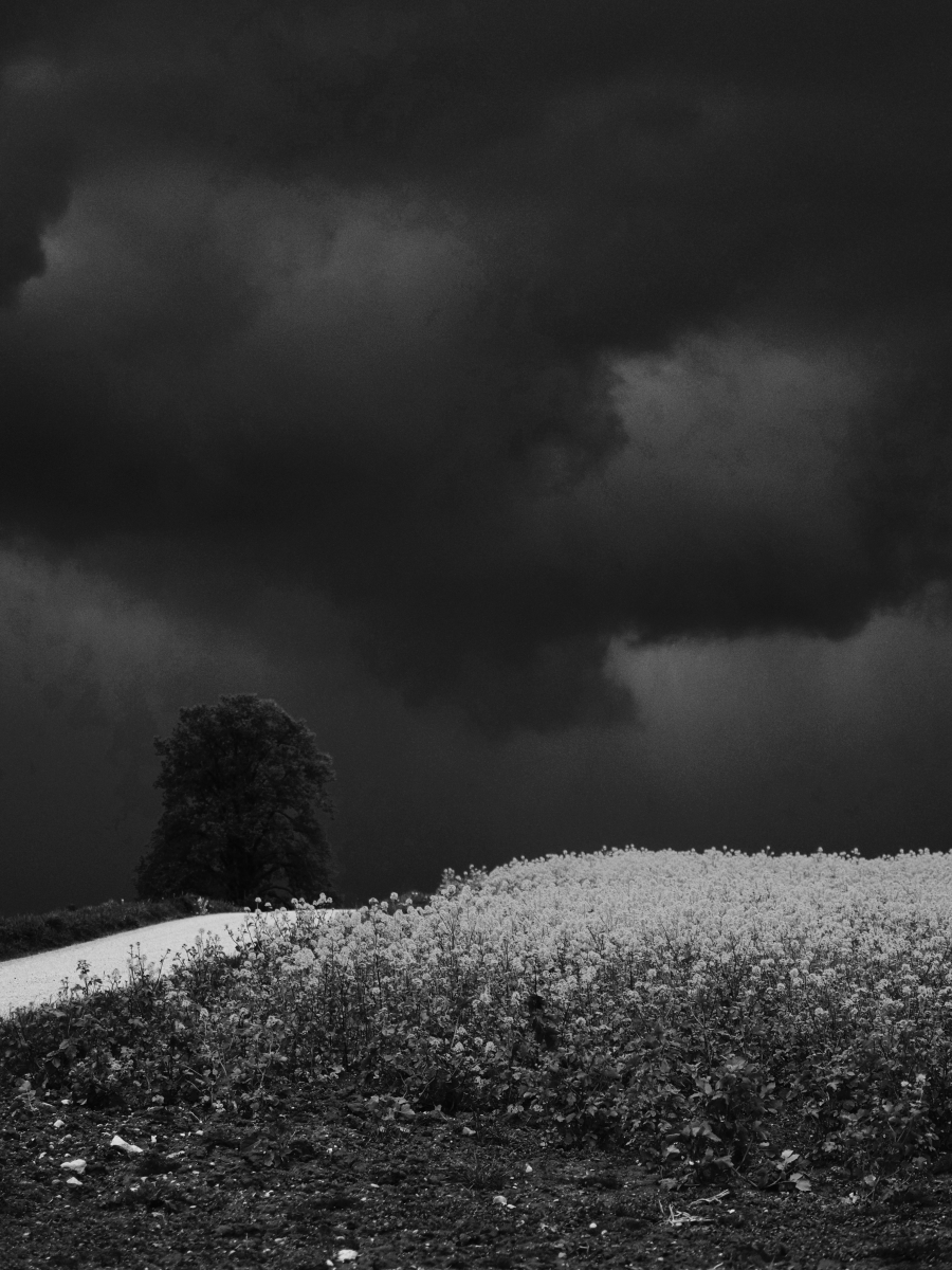 Mysterious Skies