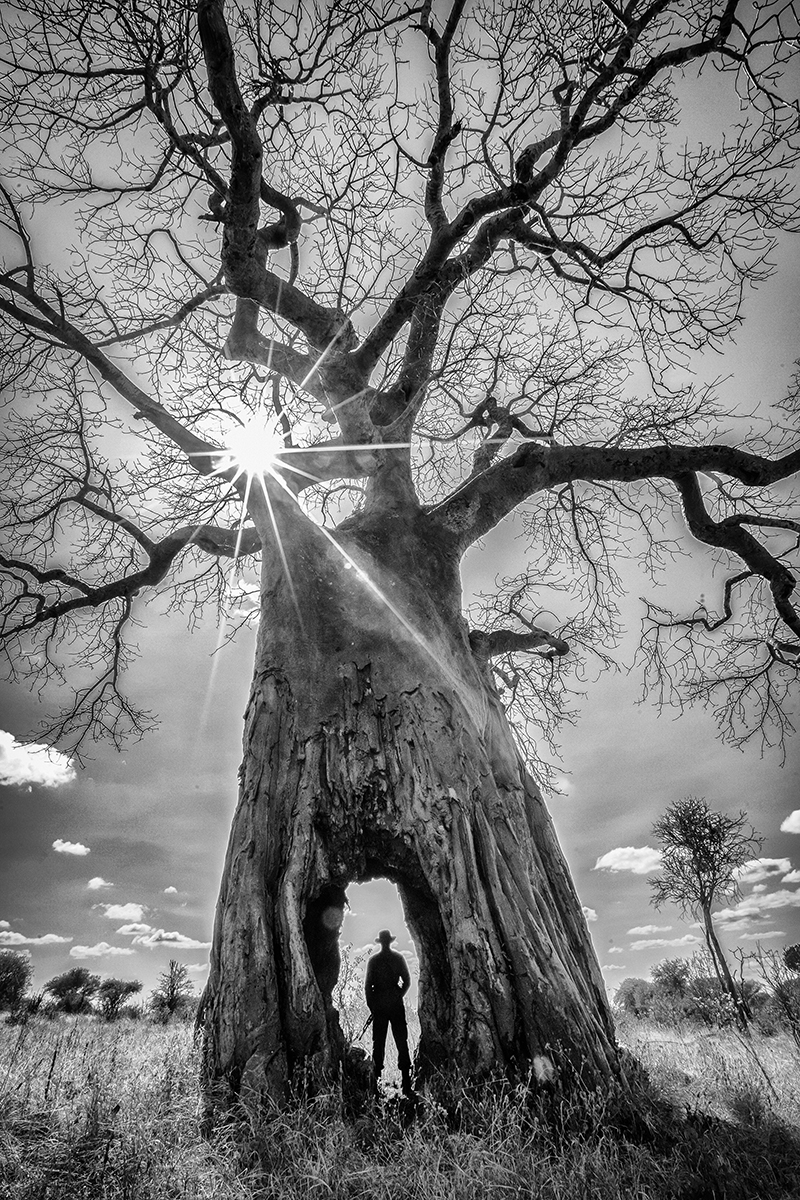 Kingdom of Giants