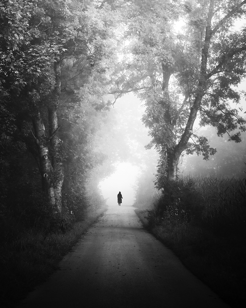 forest walk