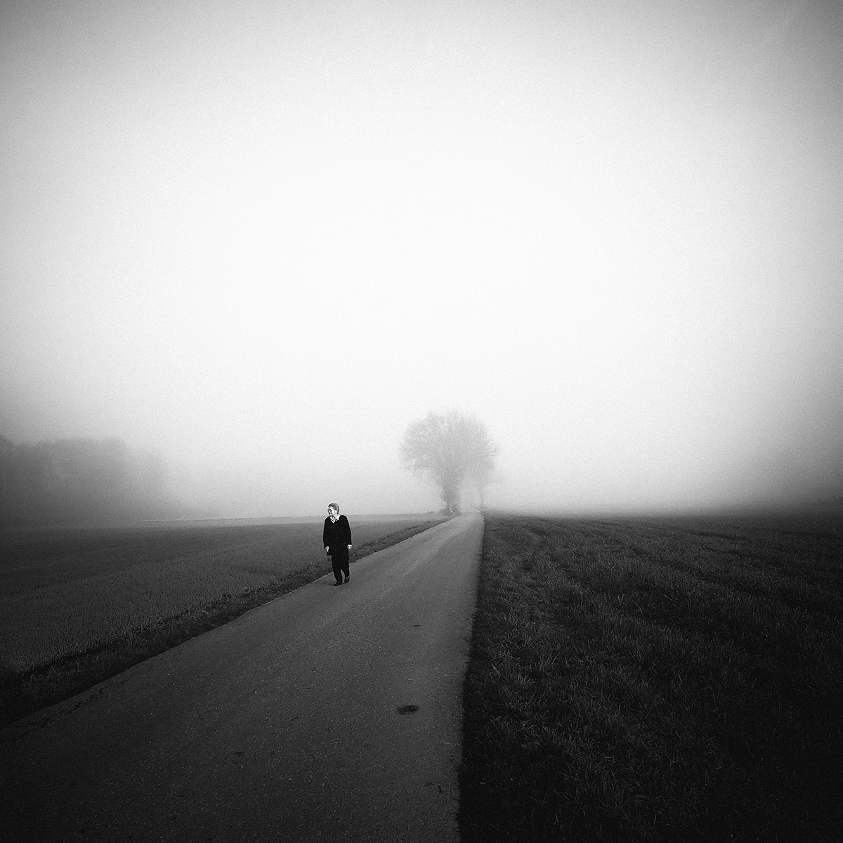 november walk