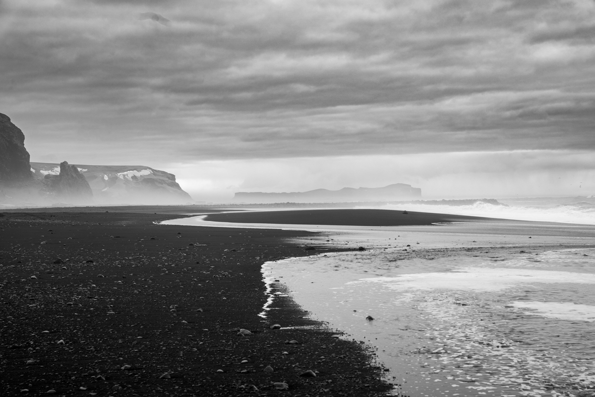 Black Birds (of Iceland), 2023