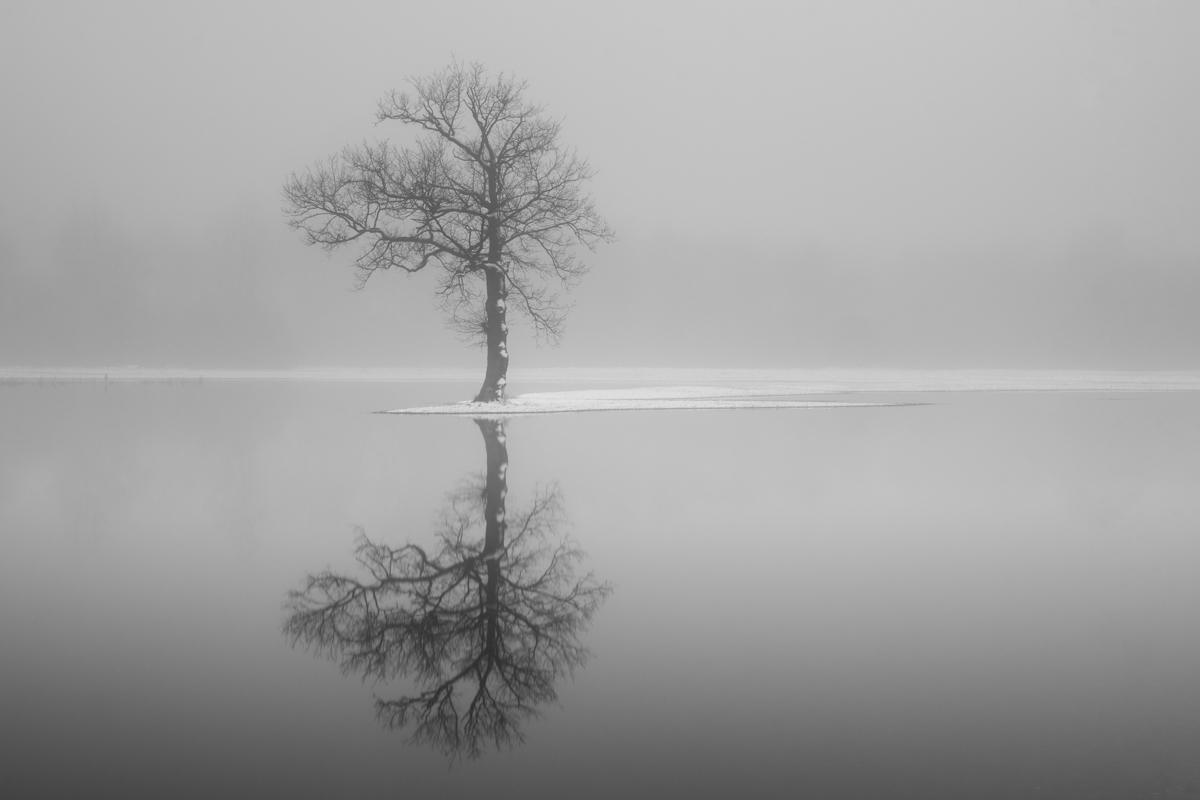 Winter floodplains of the Bug River