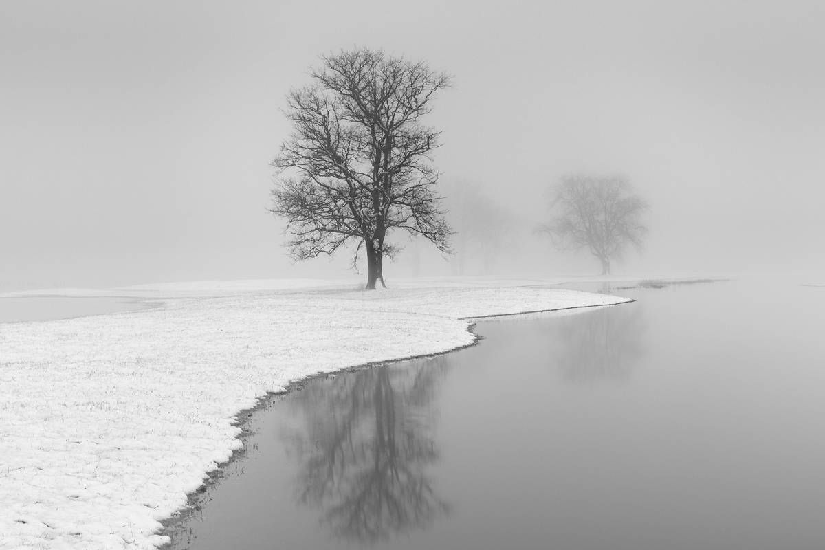 Winter floodplains of the Bug River