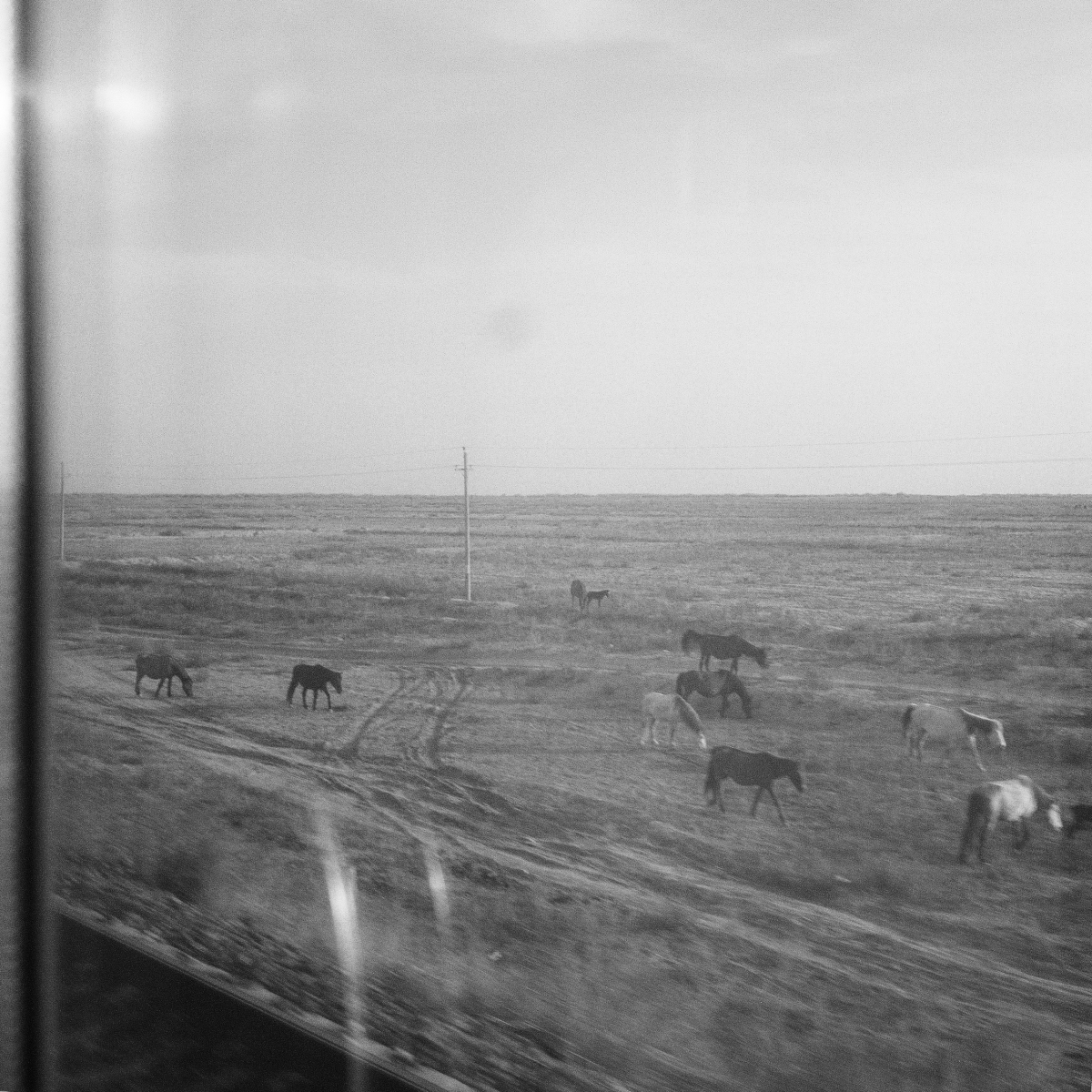 Mind Landscape 