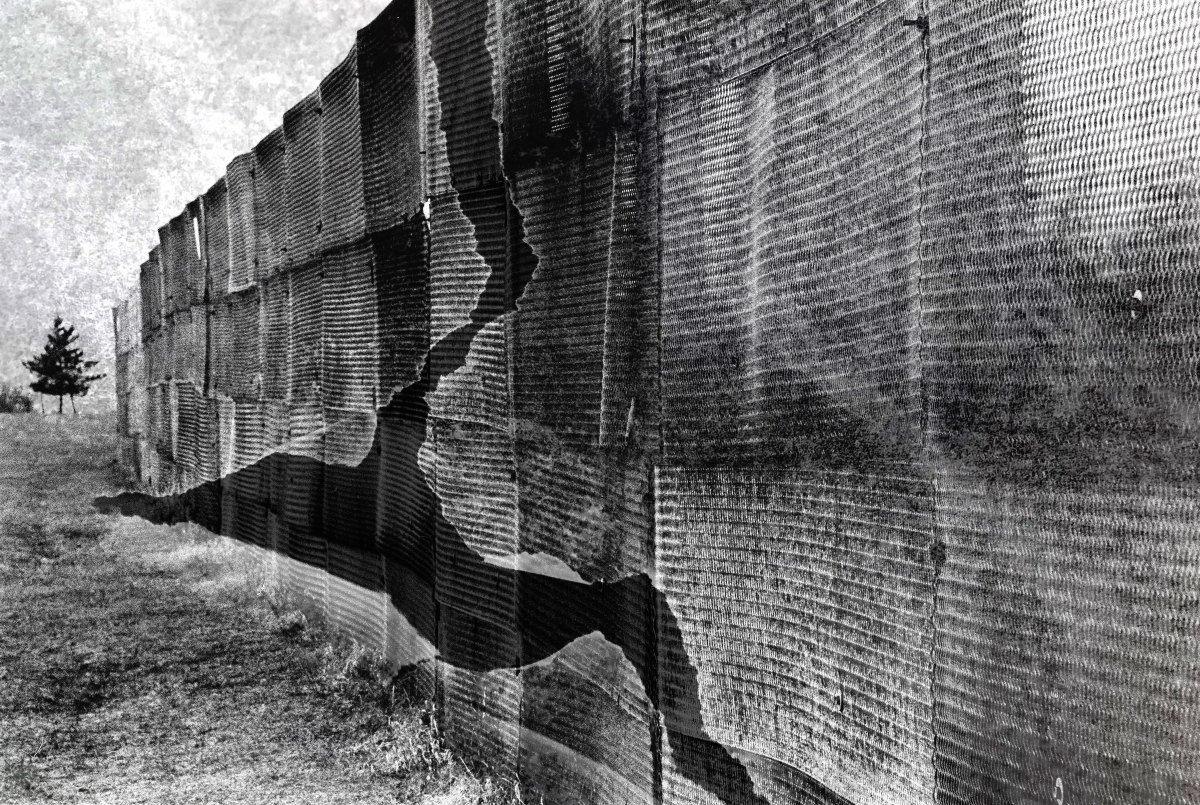 A LOOK INTO THE PAST