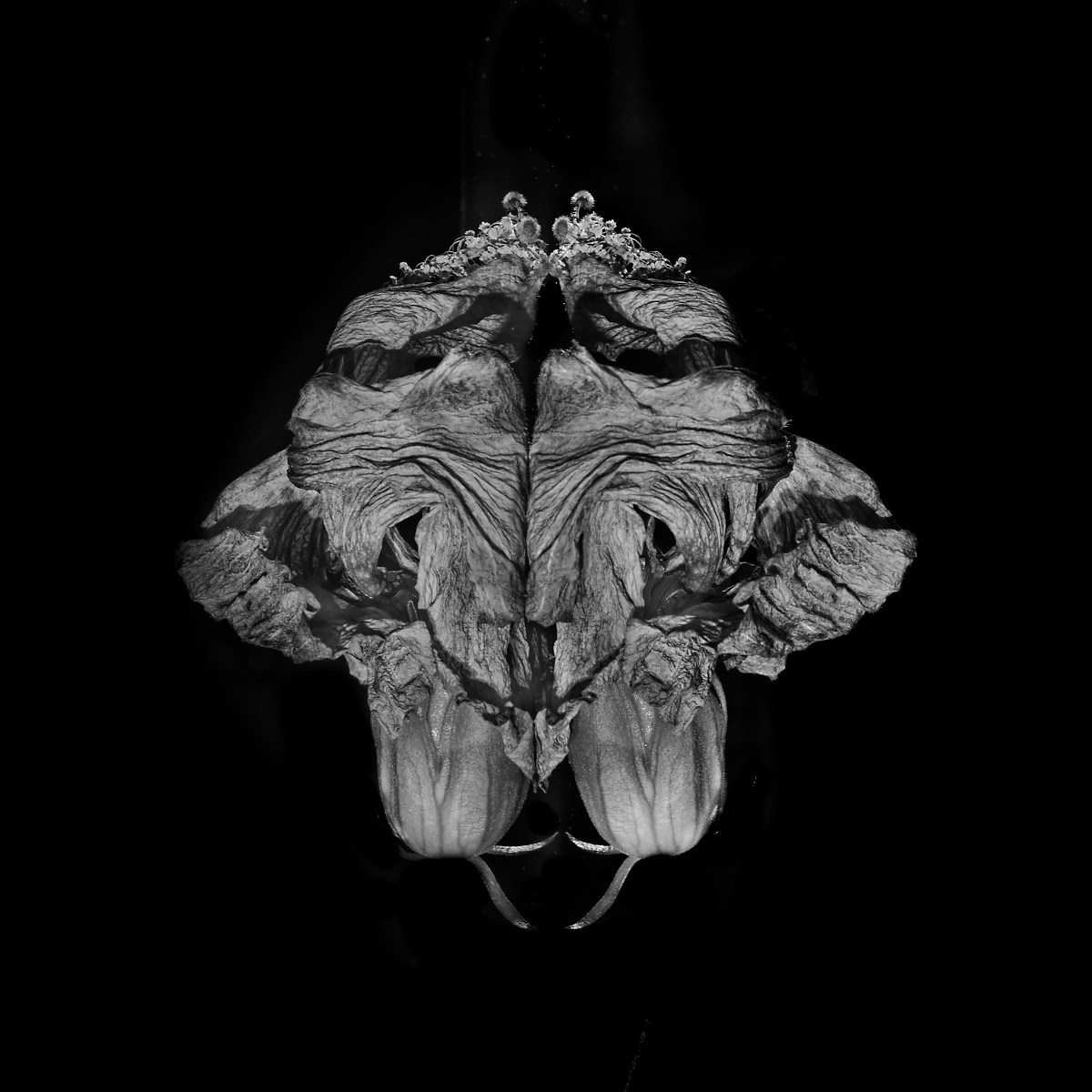 Hibiscus mask