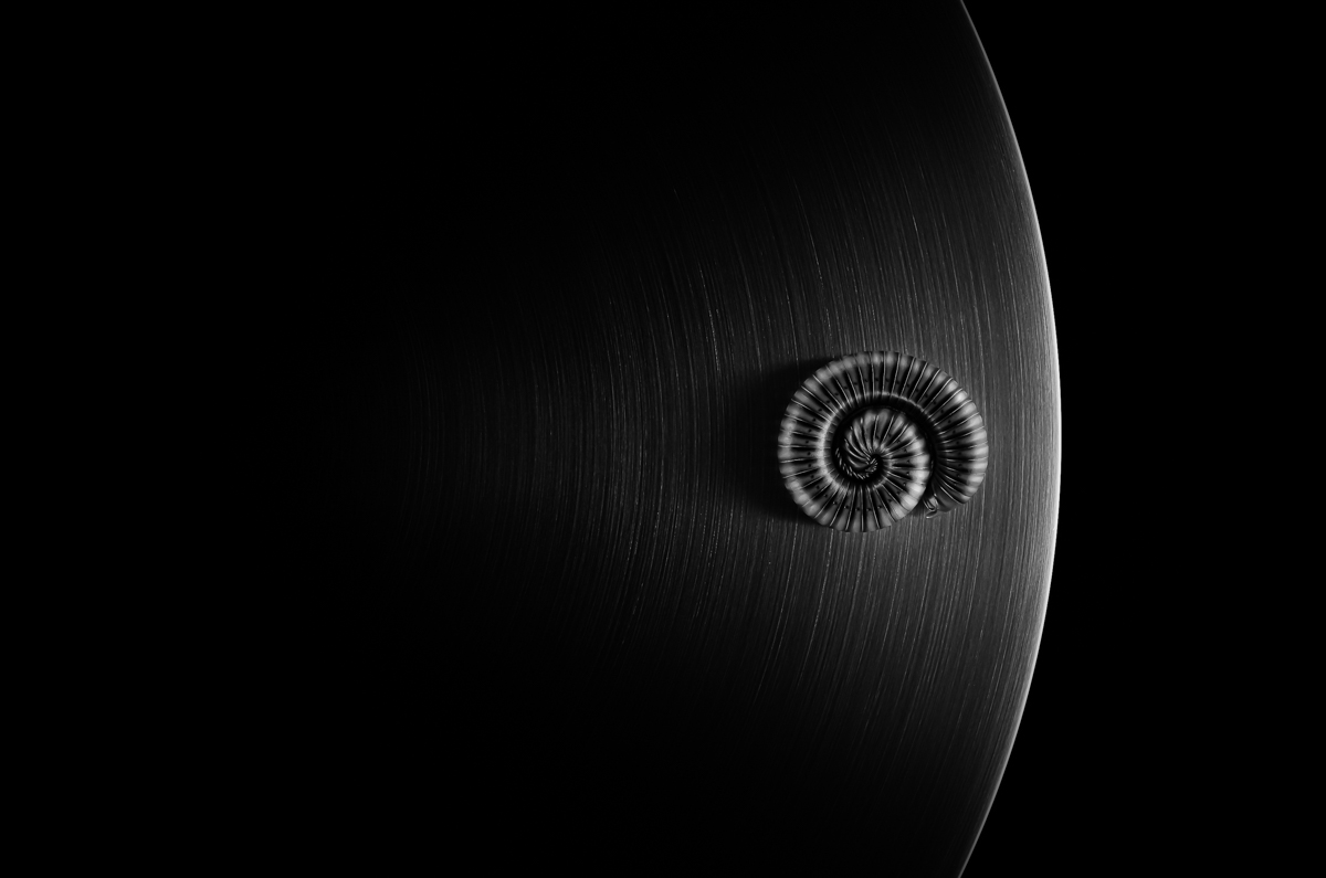 When nature meets technics - A macroworld beyond everyday experience
