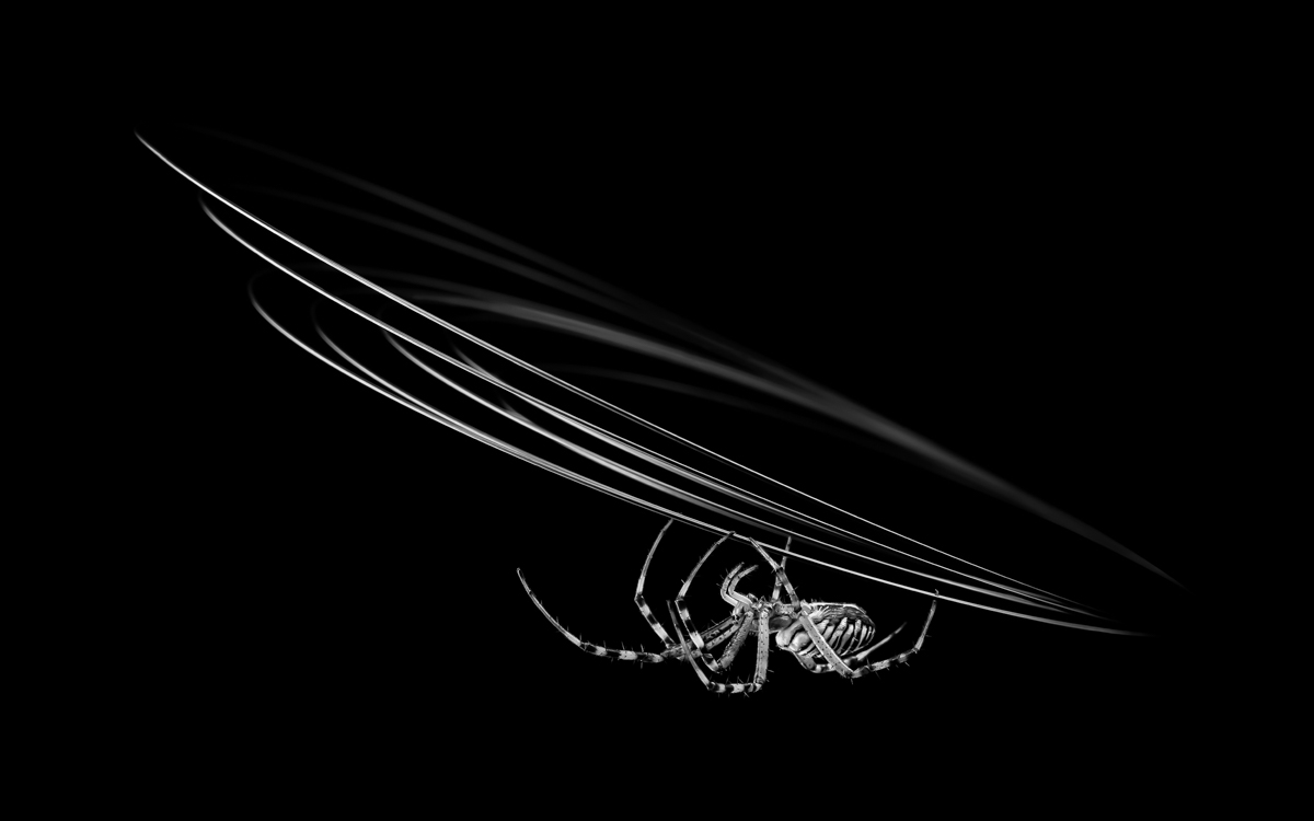 When nature meets technics - A macroworld beyond everyday experience