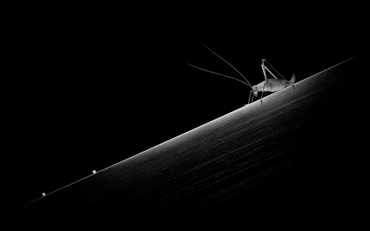 When nature meets technics - A macroworld beyond everyday experience