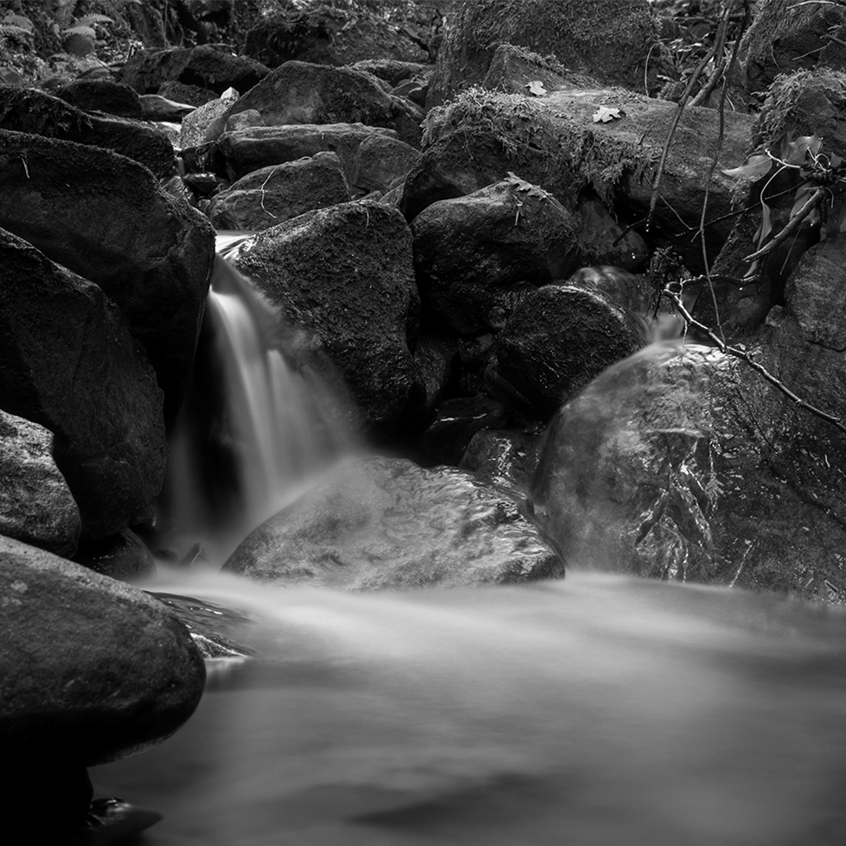 Water