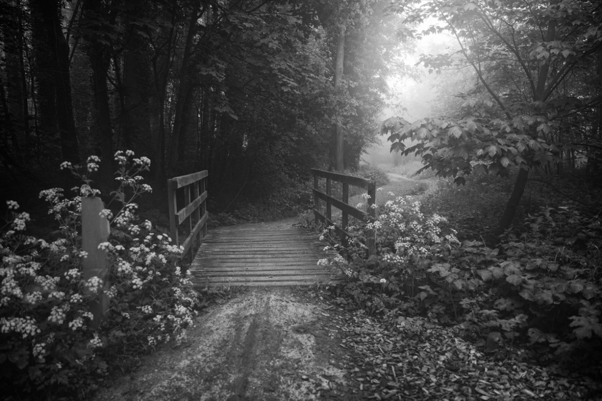 Landscape is an idea