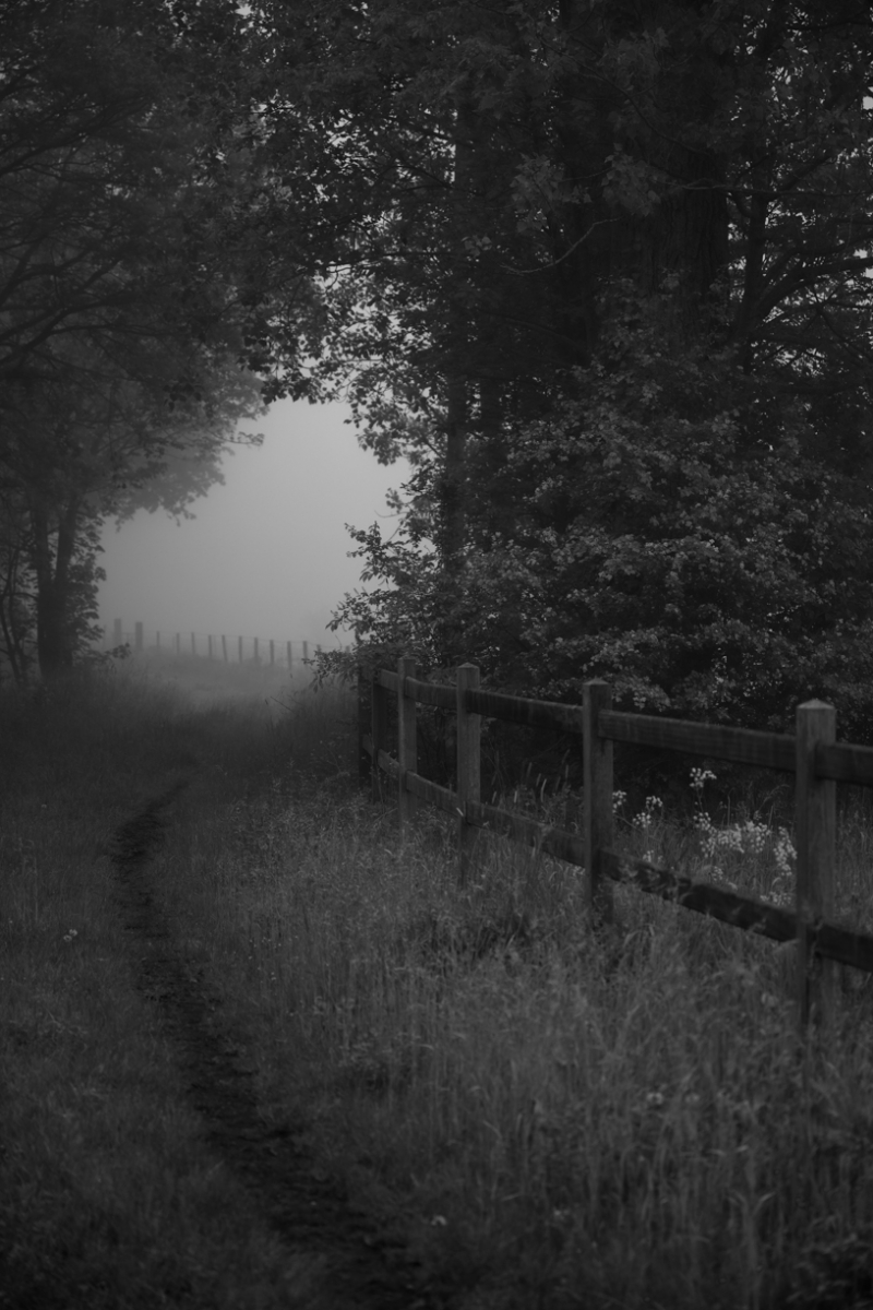 Landscape is an idea