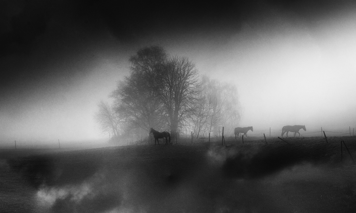 Landscape is an idea