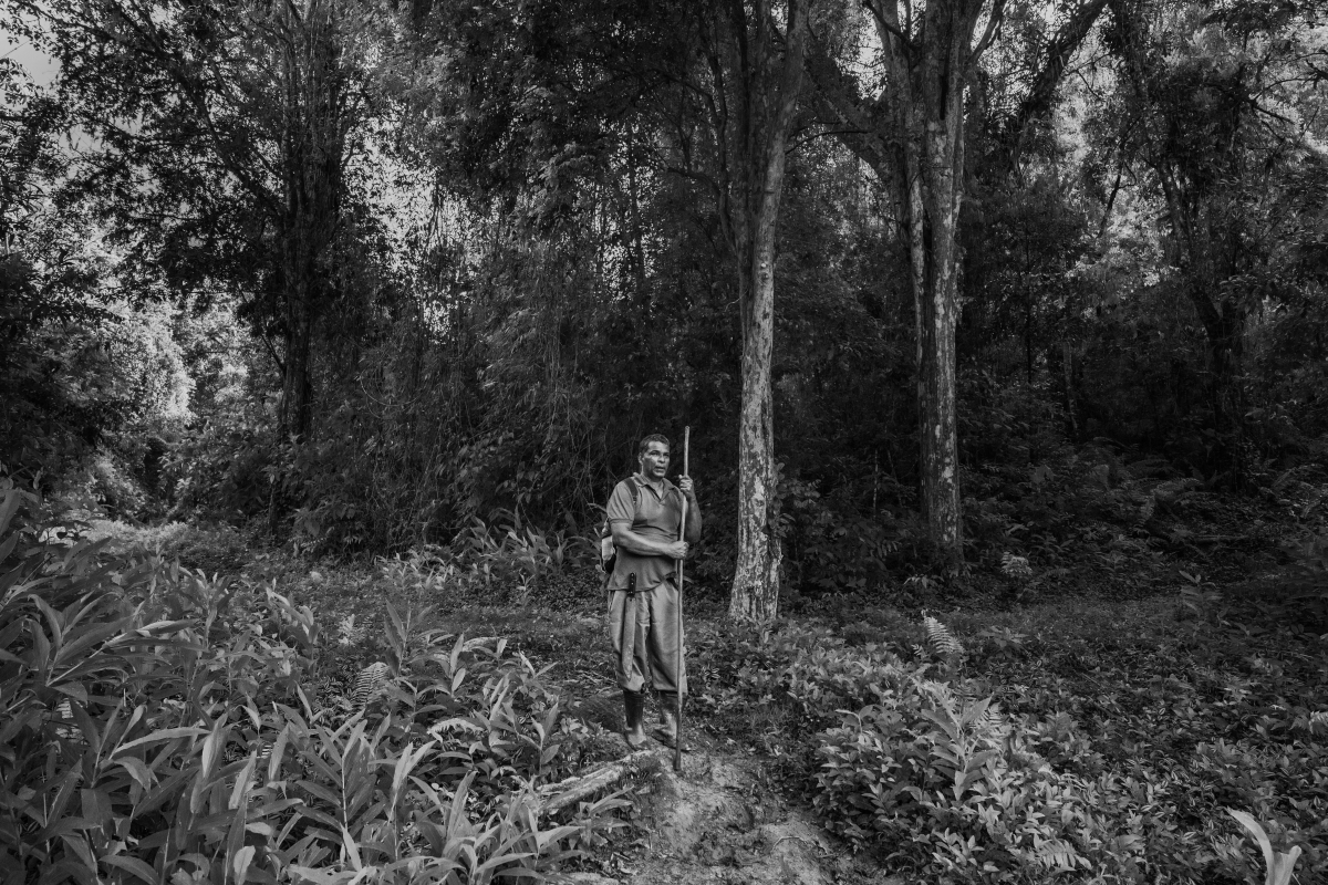 The Silence of the Forest: Portraits of Bairro Bombas (O Silêncio da Mata: Retratos de Bairro Bombas)