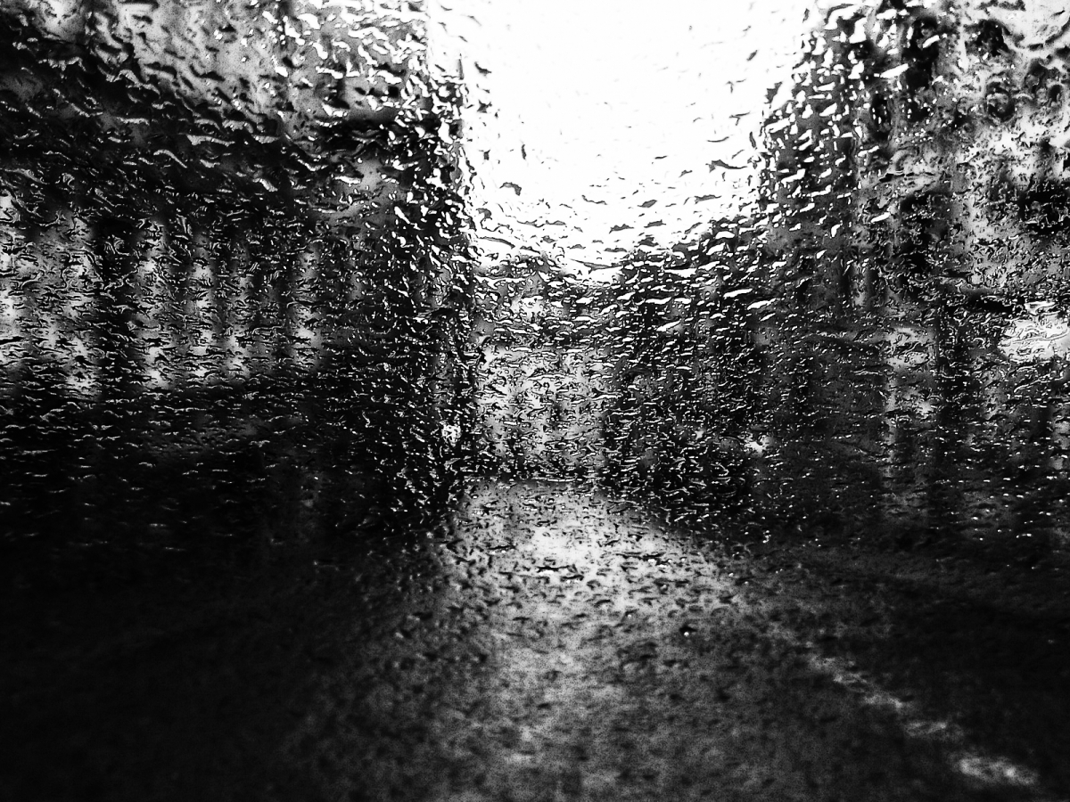 rainy city