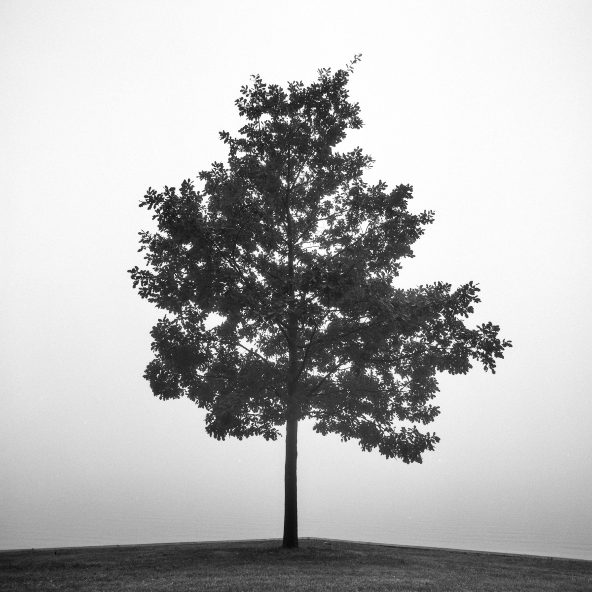 Four Seasons