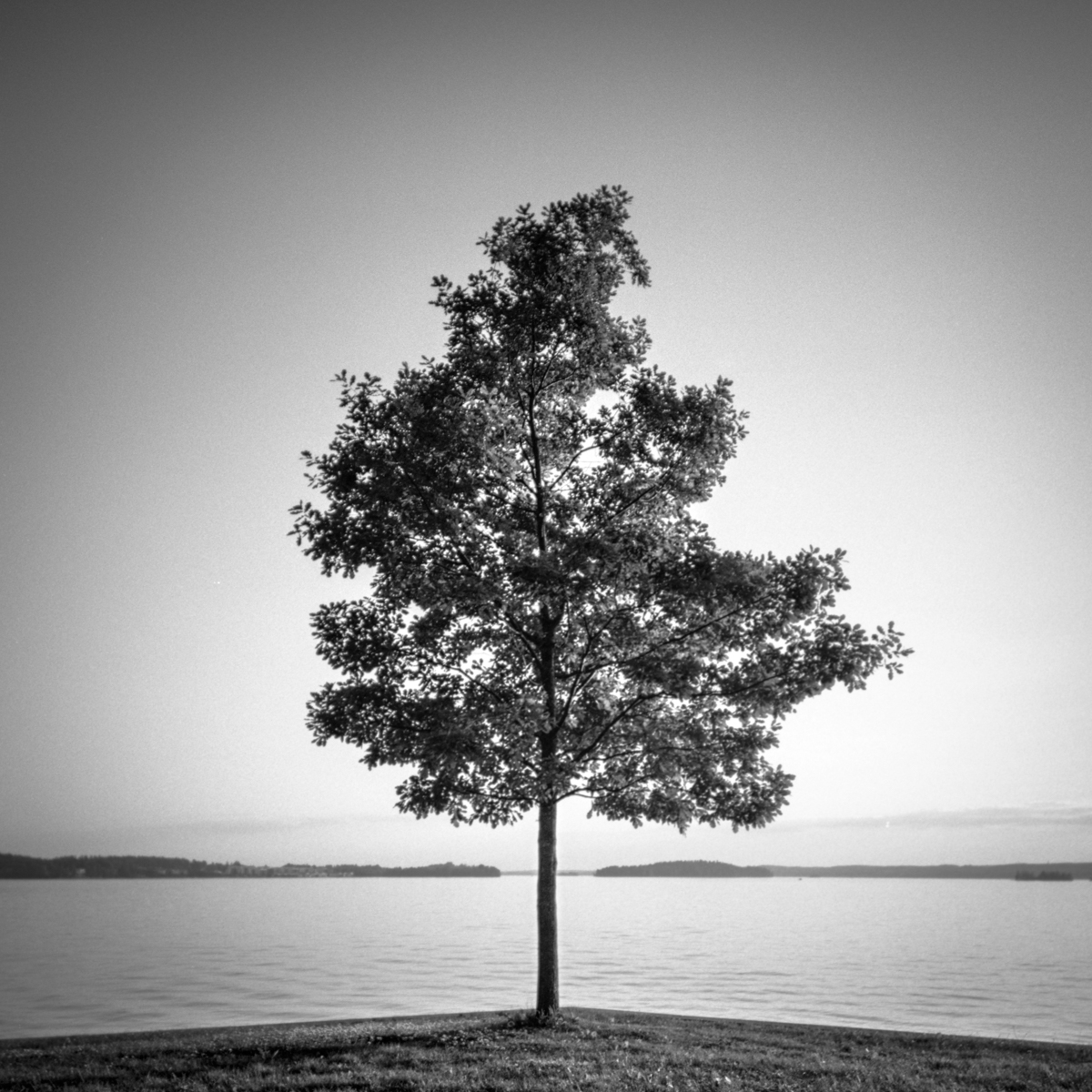 Four Seasons