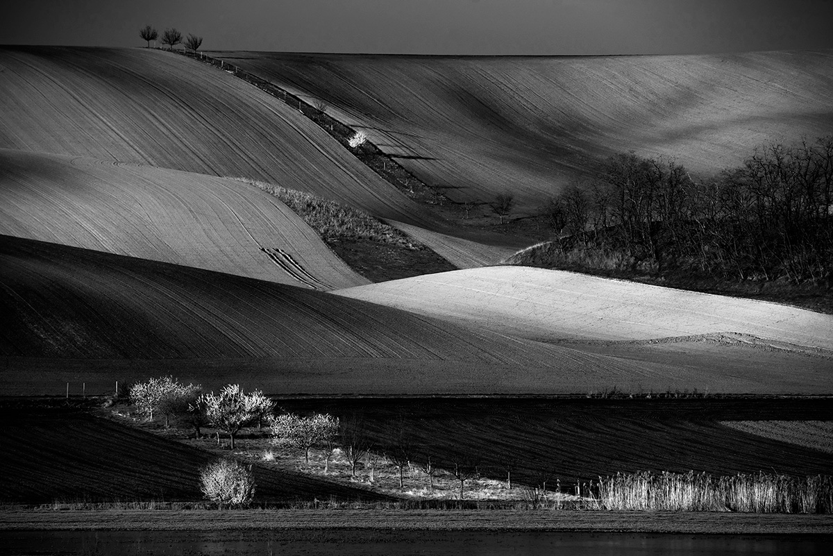 Moravian Chiaroscuro