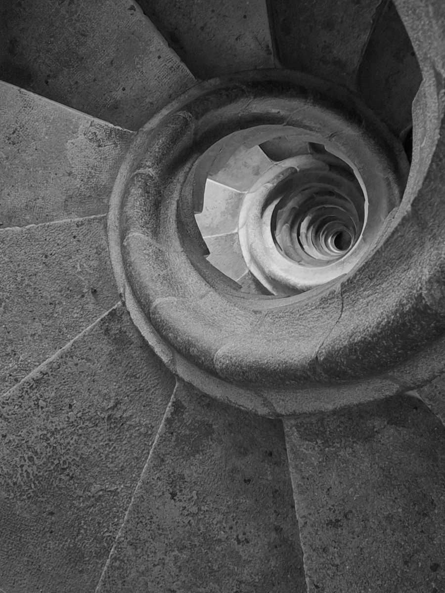 Snail's Perspective 