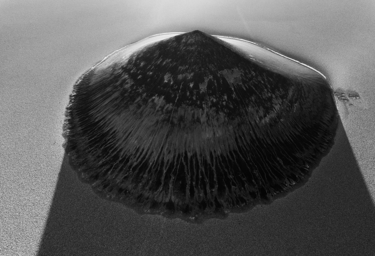 Cono de Arita