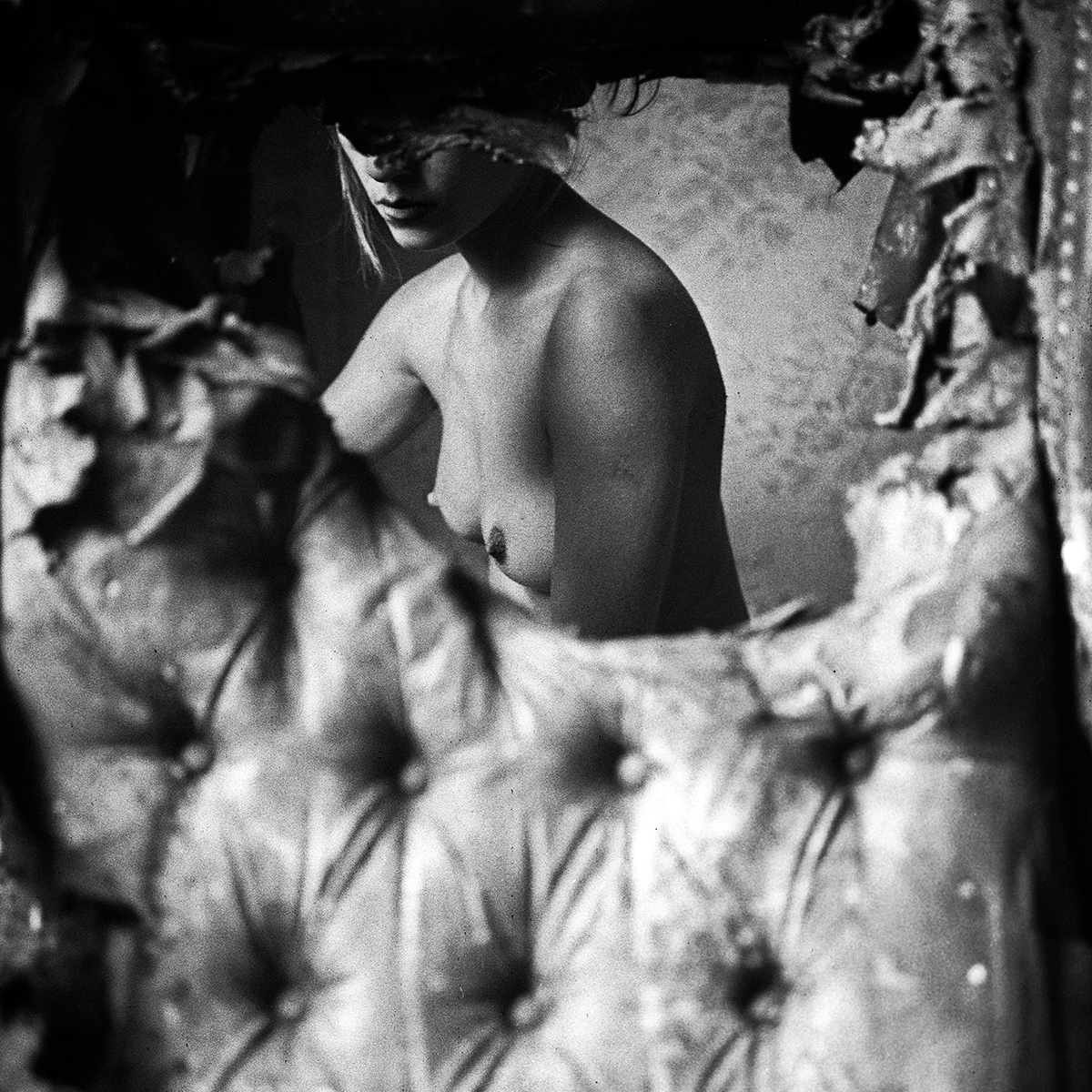 LA CASA QUEMADA.  El resurgir de las cenizas (BURNT HOME. Rising from the ashes)