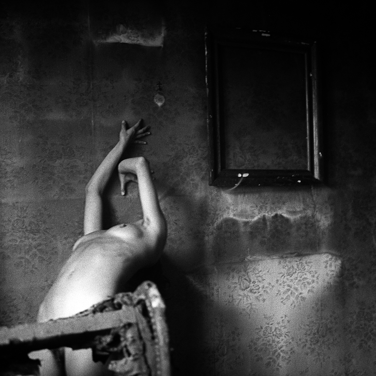 LA CASA QUEMADA.  El resurgir de las cenizas (BURNT HOME. Rising from the ashes)