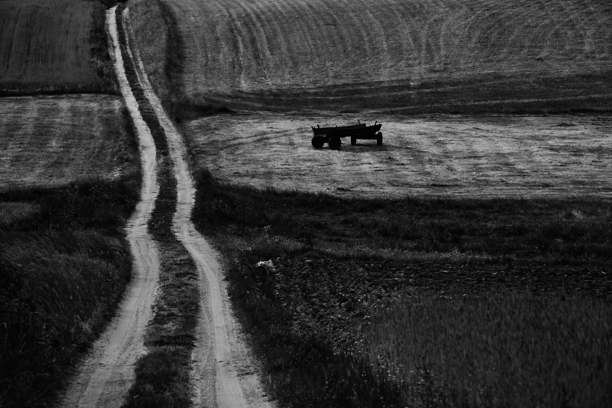 Haymaking