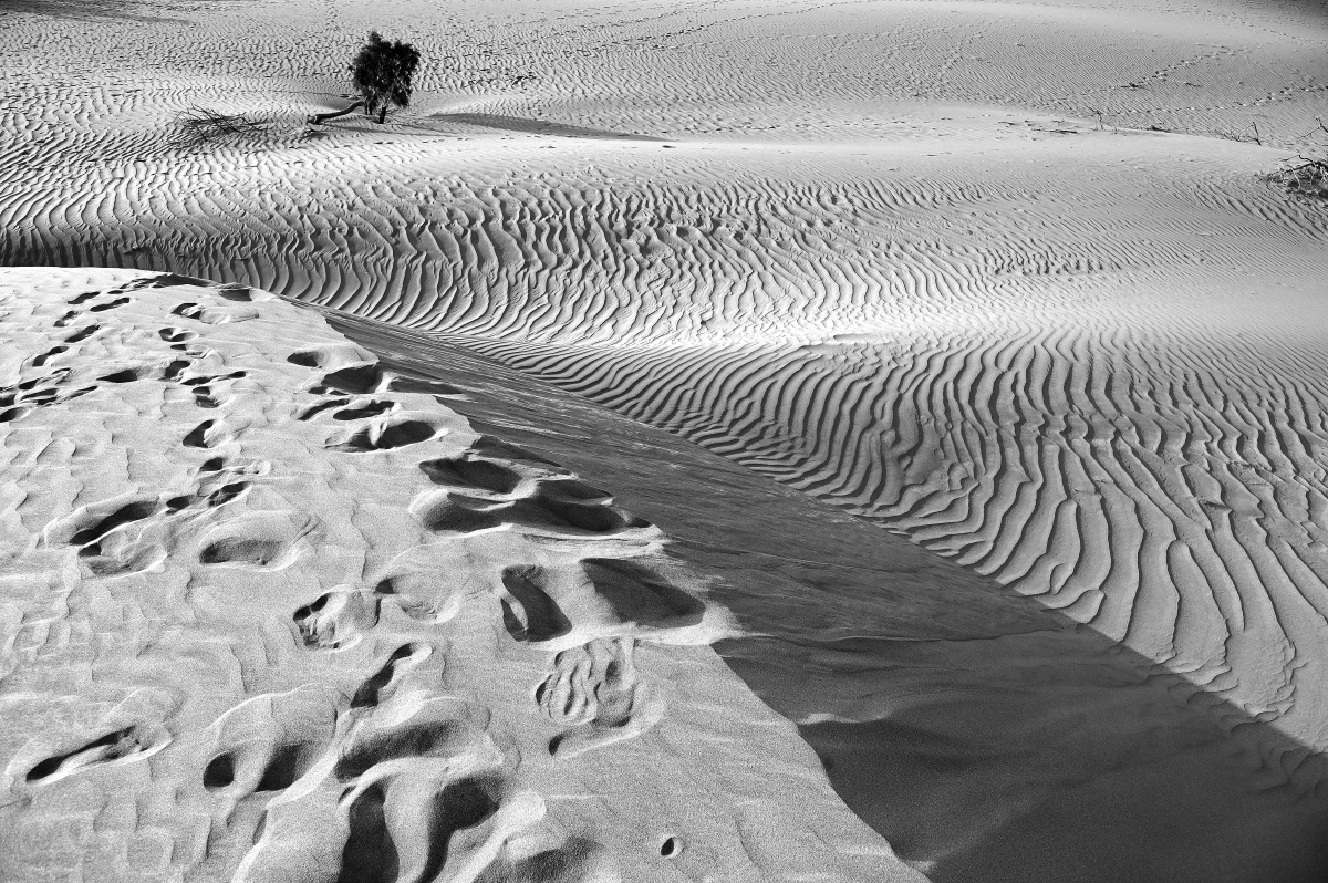 Alter Desert