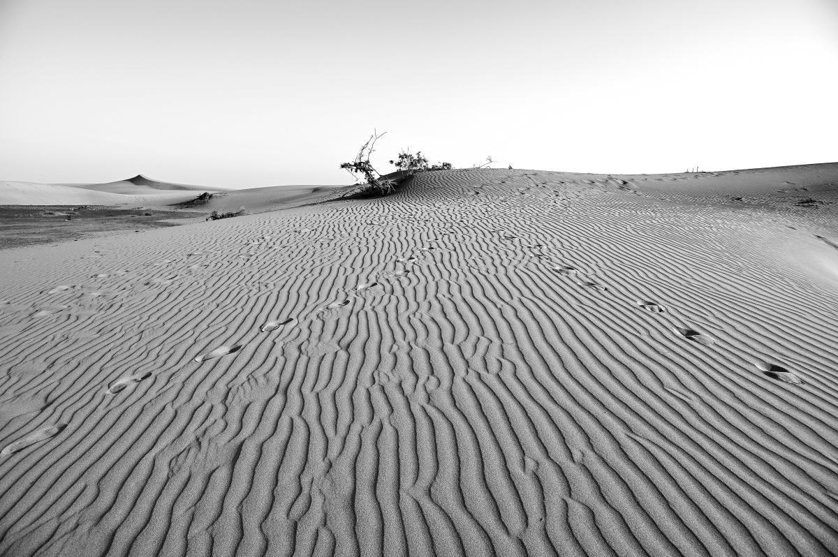 Alter Desert