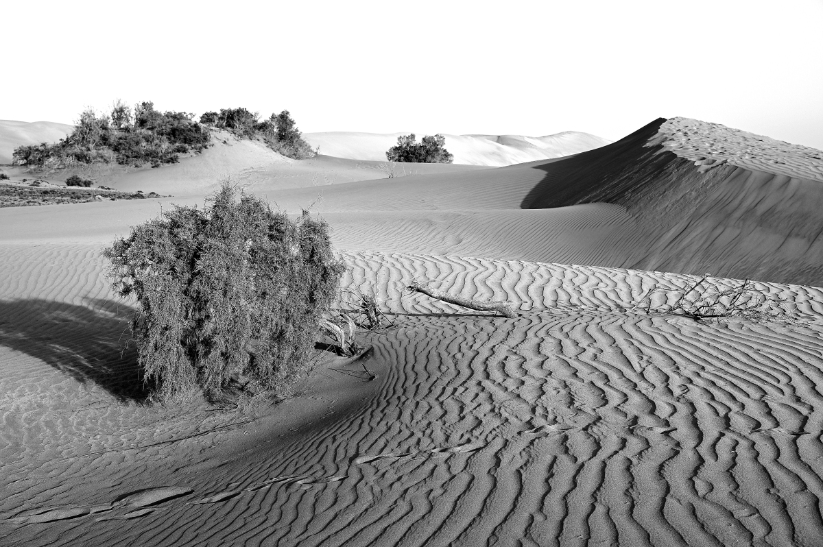 Alter Desert