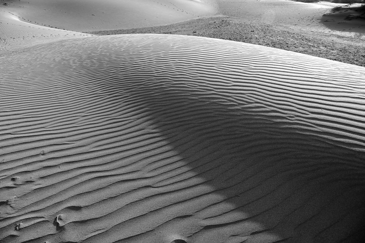 Alter Desert
