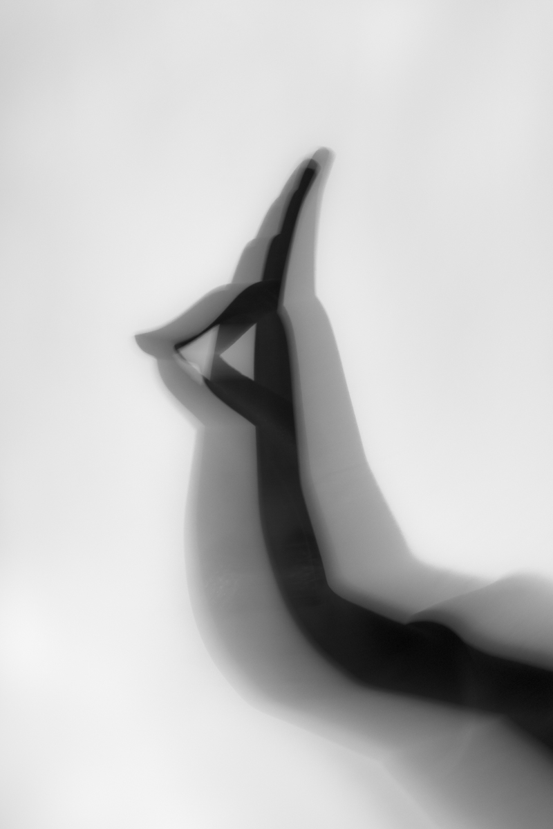Between Worlds