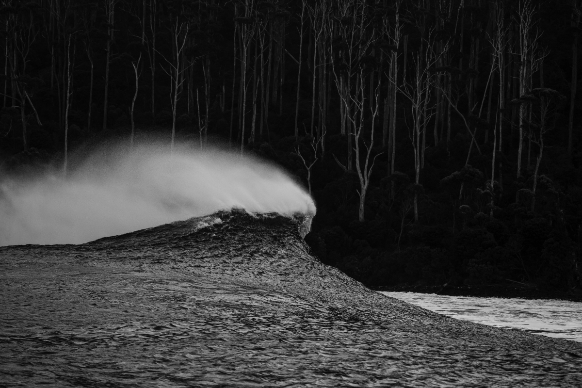 Dark Seas 