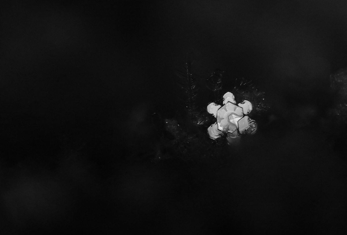 Snowy Nights