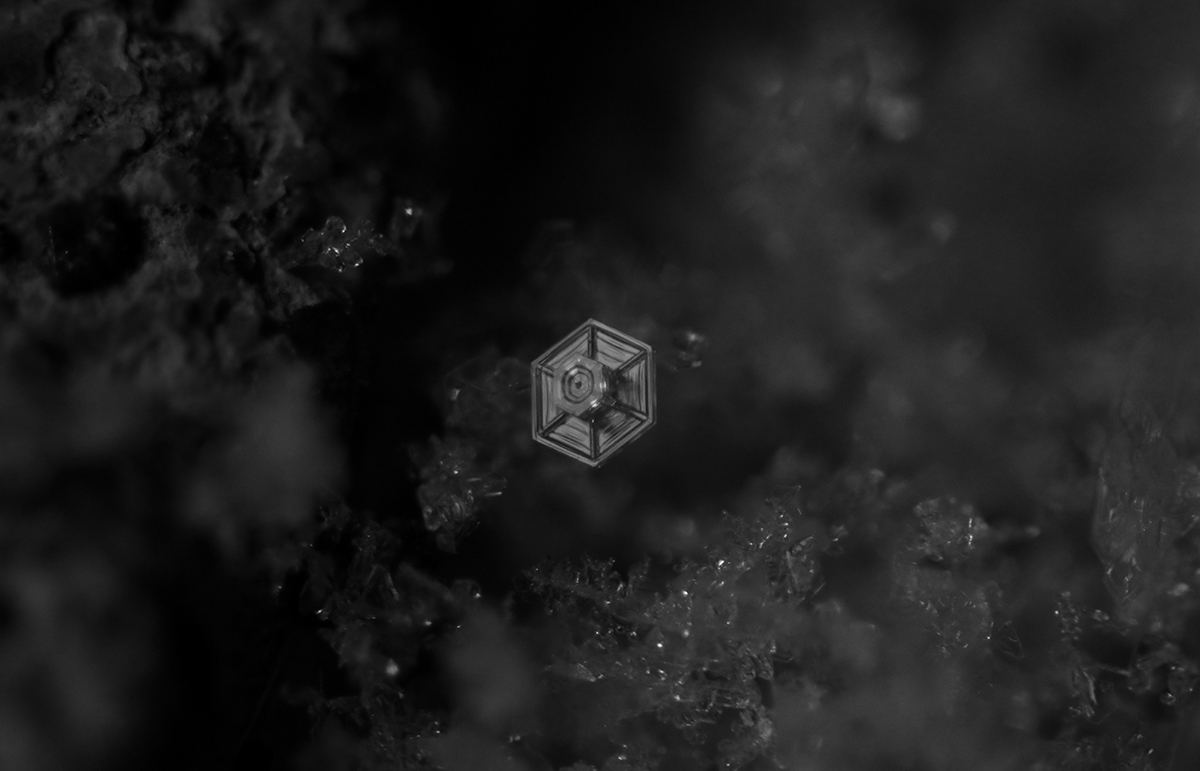 Snowy Nights