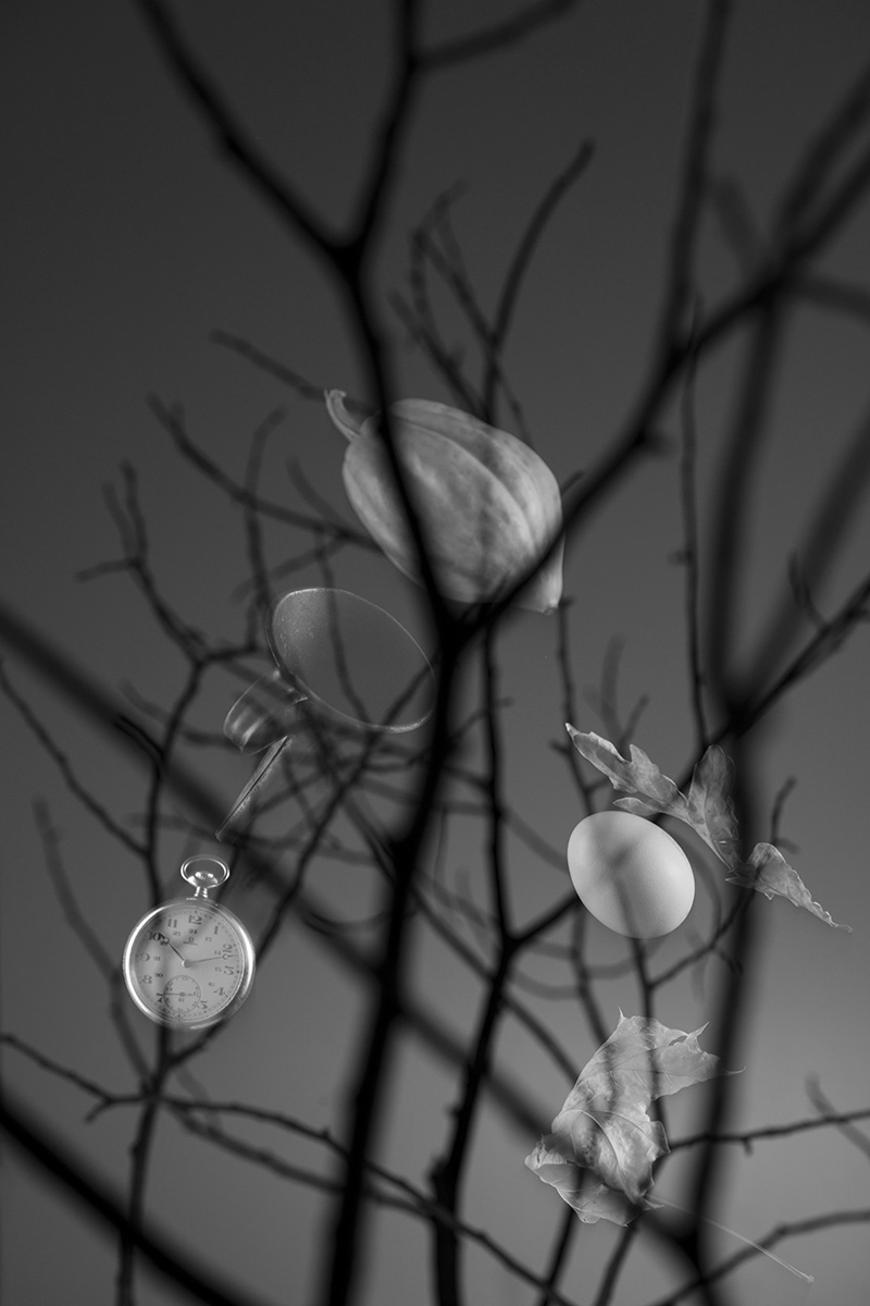 Ephemerality