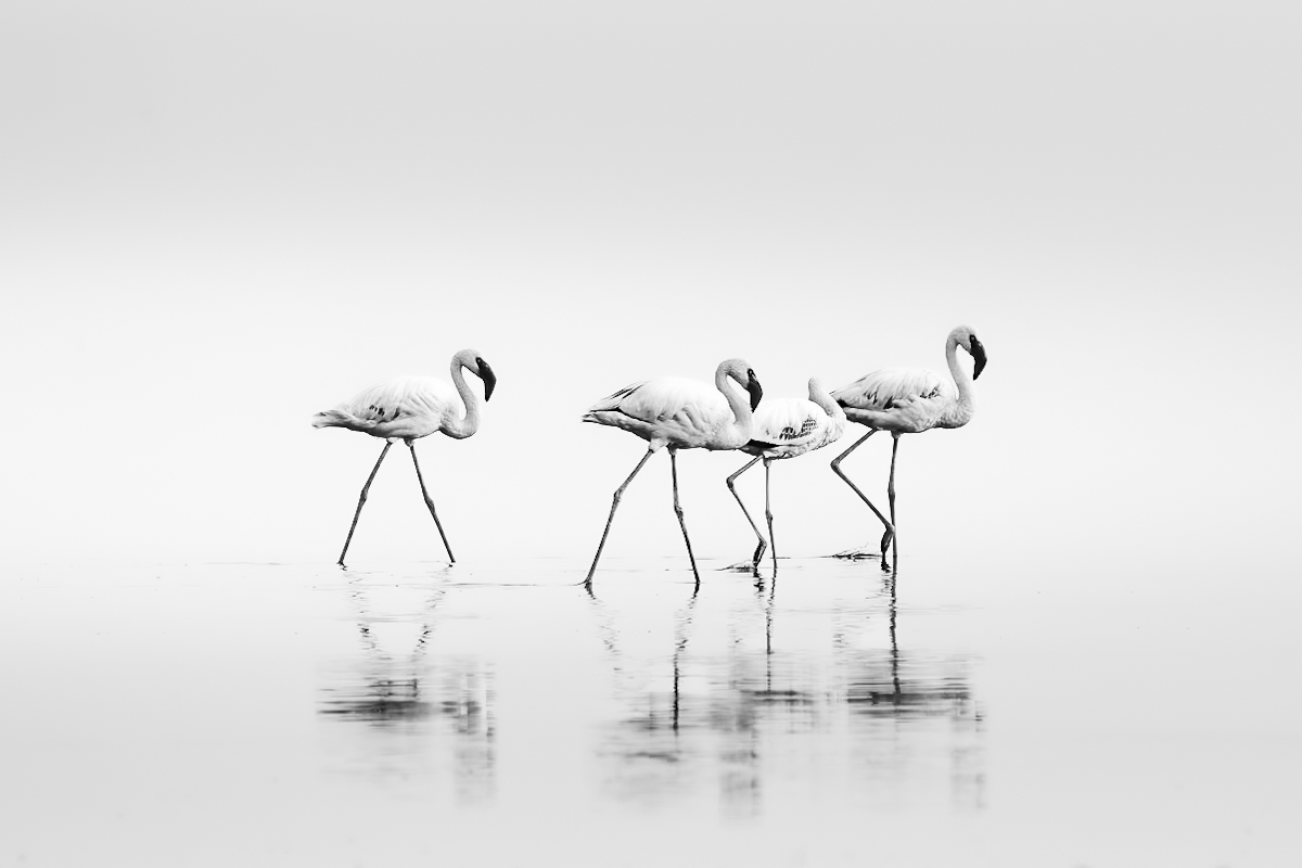 Lake Natron Residents
