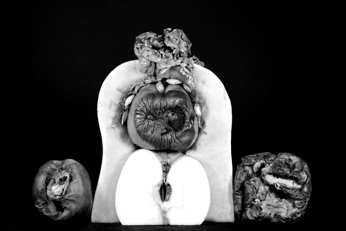 The Wisdom of Transience