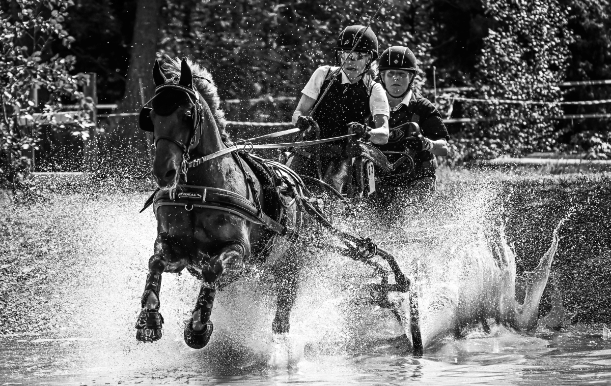 Water sport