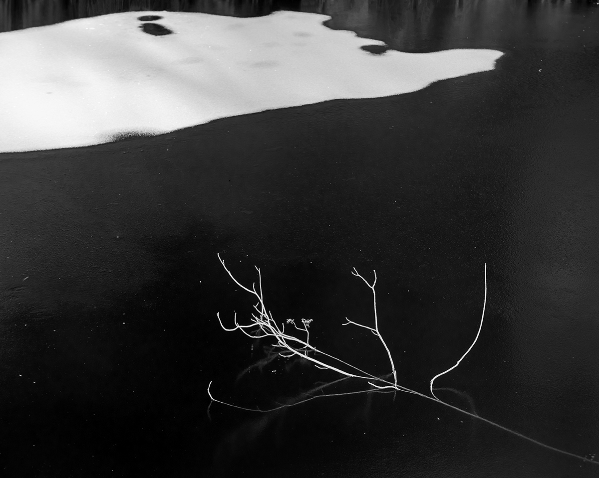 Geometry of winter