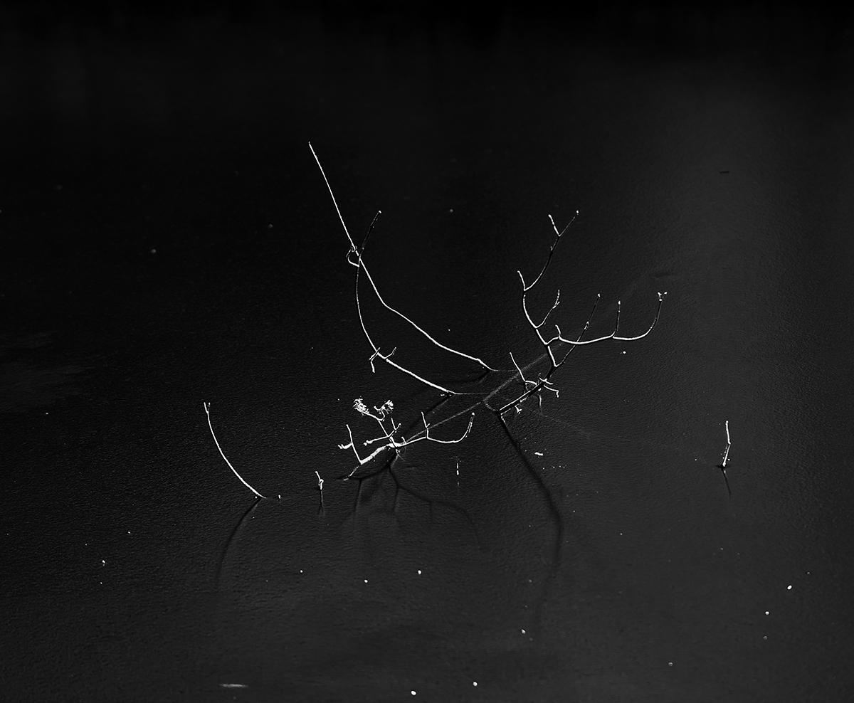 Geometry of winter