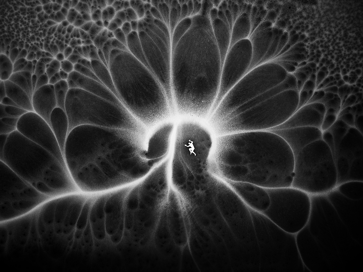 Ice land flower