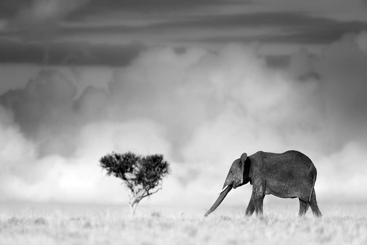 WHERE CLOUDS DANCE AND HEARTS ENTWINE