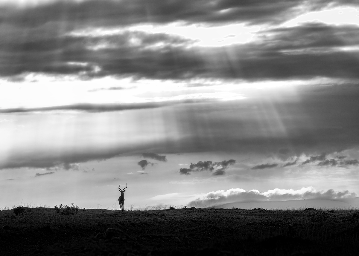 WHERE CLOUDS DANCE AND HEARTS ENTWINE