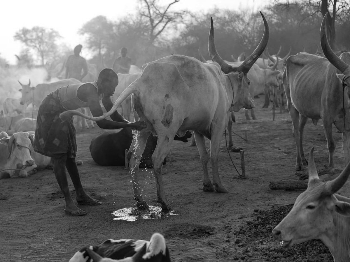 Mundari 