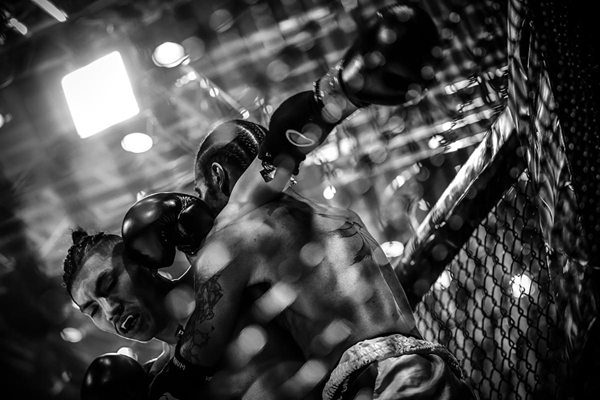 The Fight