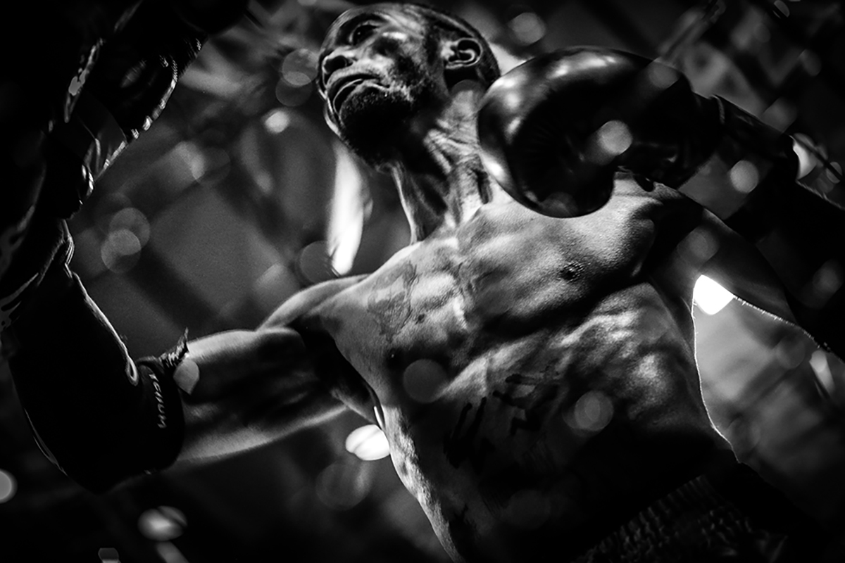 The Fight