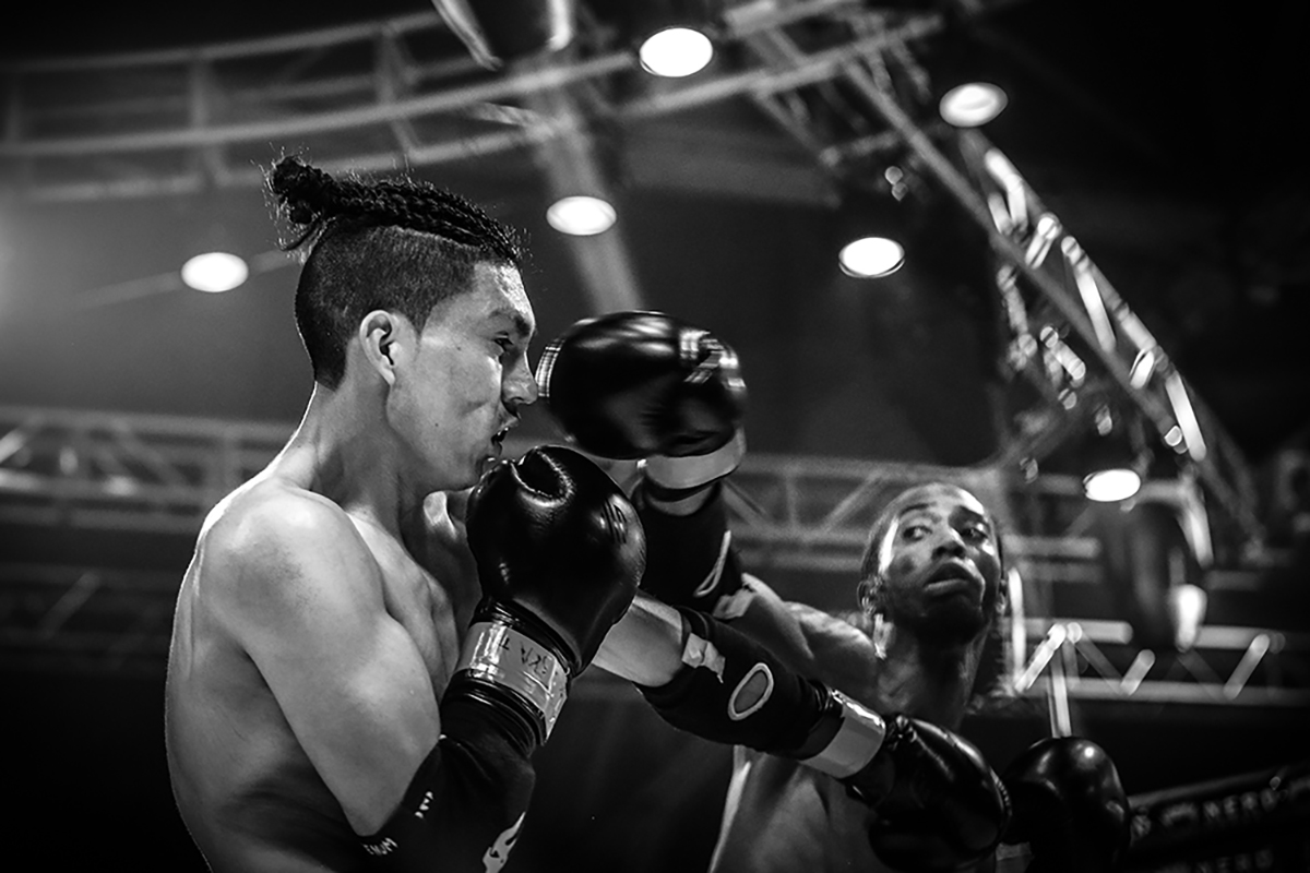 The Fight