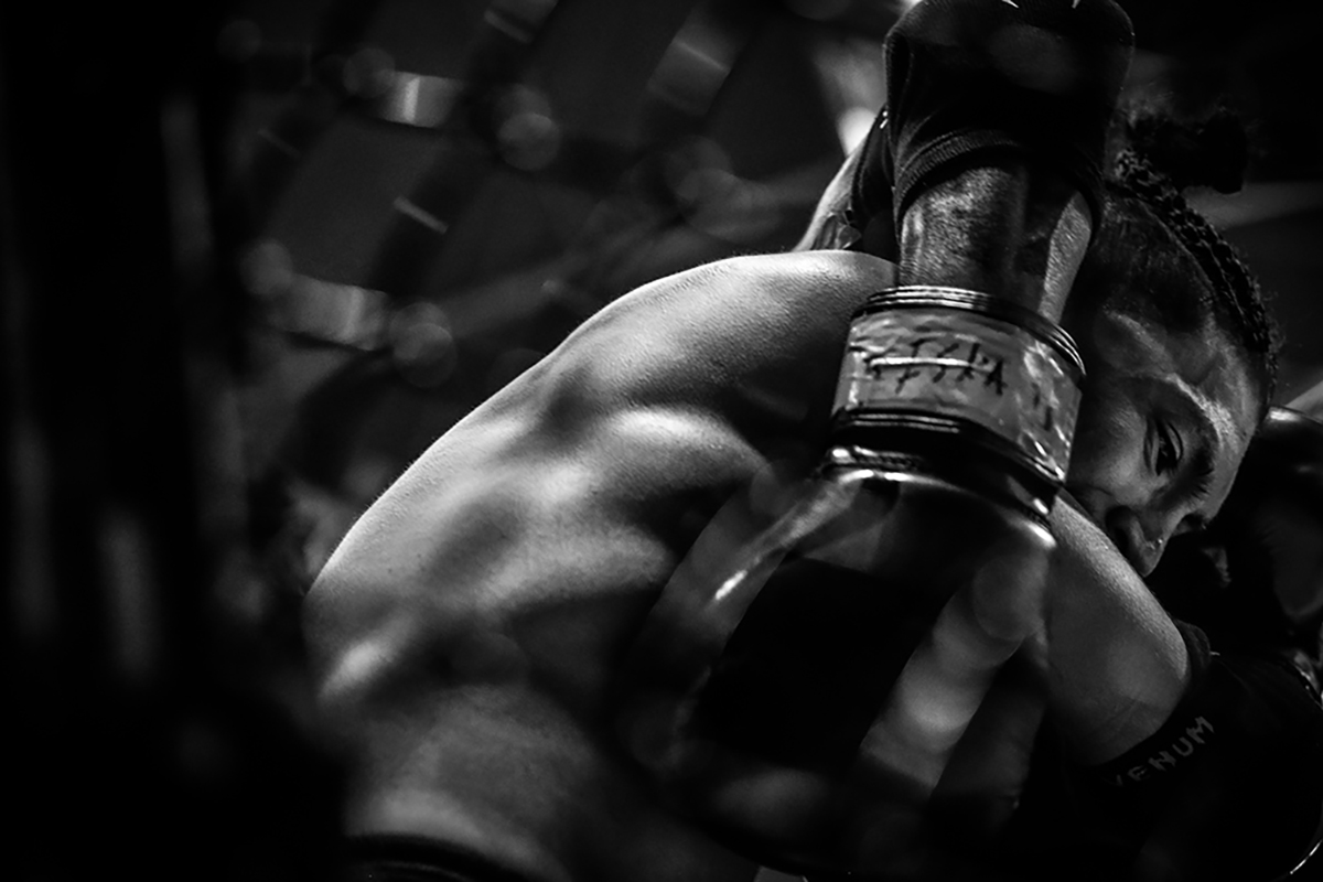 The Fight