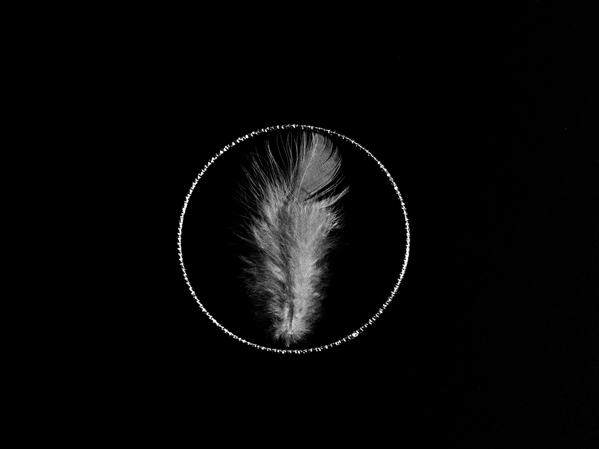 Illusion